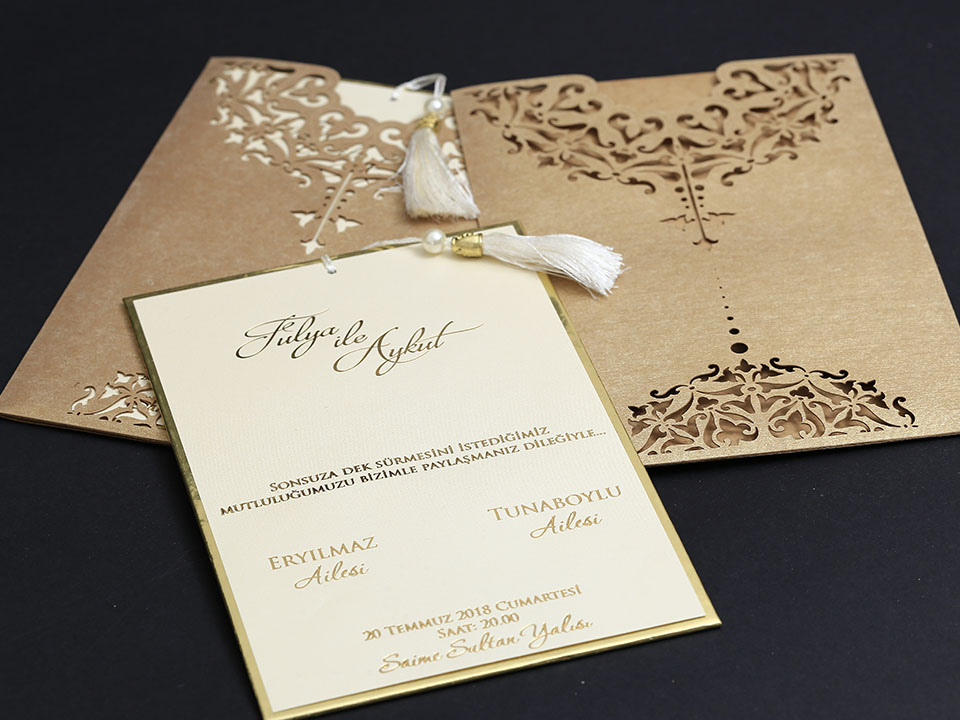 Alyans Serisi - 2013